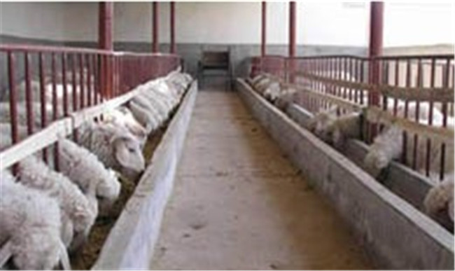 新型保溫板羊舍生產廠家 新型保溫板羊舍供應商