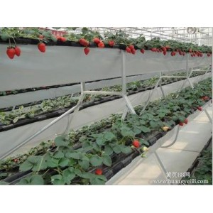 河北草莓立体种植槽供应 河北草莓立体种植槽价格
