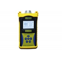 国瑞-3010手持式气体检测仪（应急监测）