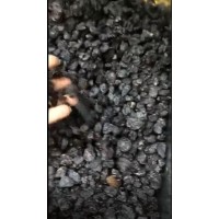 葡萄新品种基地视频