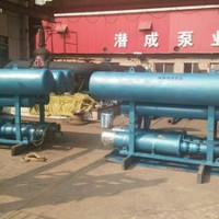 天津大型潜水电泵流量-温泉井260米潜水泵厂家