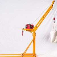 东弘起重全国销售多种型号吊机|吊机生产厂家批发
