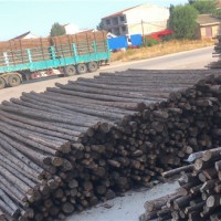 园林植树杉木杆供应厂家 园林植树杉木杆批发价格