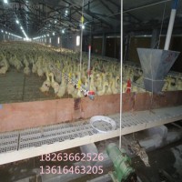 鸡鸭鹅漏粪网床 塑料粪板生产厂家 可拼接塑料漏粪地板