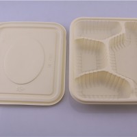 广东环保型一次性餐盒生产厂家