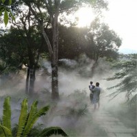 广州园林人造雾设备景观高压雾喷系统雾森主机厂家