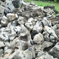 广西白色太湖石窟窿石头庭院造景石假山石玲珑石景观石批发工程石