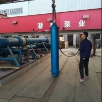 天津下吸式潜水泵-潜成QJX大型水池抽水用下吸式潜水泵厂家