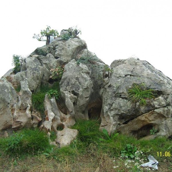 太湖石、自然石、野山石
